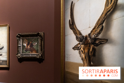 Les photos de l'exposition Oudry, peinte de courre au Château de Fontainebleau