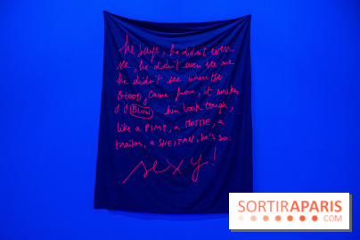 Exposition d'Ugo Rondinone et Tarek Lakhrissi à Reiffers Art Initiatives - DSC 1498