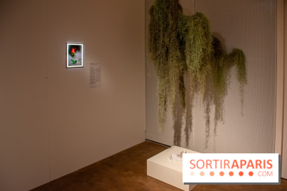 Exposition Soft Skills de Mohamad Abdouni à Lafayette Anticipations - DSC 1545