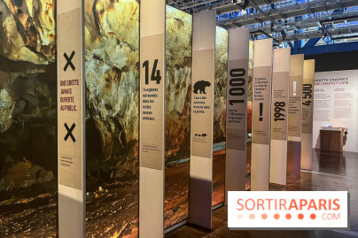 La Grotte Chauvet à la Cité des Sciences, nos photos  - image00017