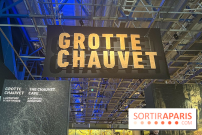 La Grotte Chauvet à la Cité des Sciences, nos photos  - image00018
