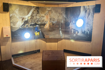 La Grotte Chauvet à la Cité des Sciences, nos photos  - image00014