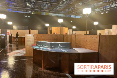 La Grotte Chauvet à la Cité des Sciences, nos photos  - image00016