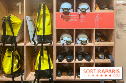 La Grotte Chauvet à la Cité des Sciences, nos photos  - image00012