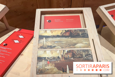 La Grotte Chauvet à la Cité des Sciences, nos photos  - image00013