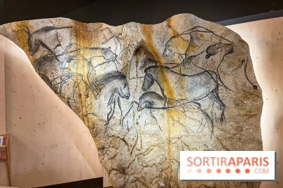 La Grotte Chauvet à la Cité des Sciences, nos photos  - image00010