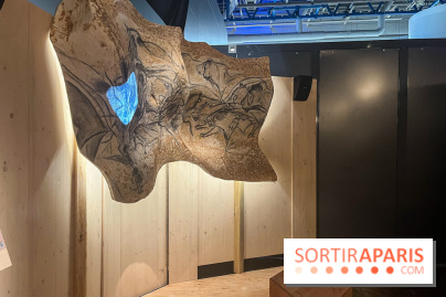 La Grotte Chauvet à la Cité des Sciences, nos photos  - image00007