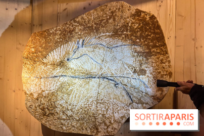 La Grotte Chauvet à la Cité des Sciences, nos photos  - image00005