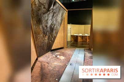 La Grotte Chauvet à la Cité des Sciences, nos photos  - image00001