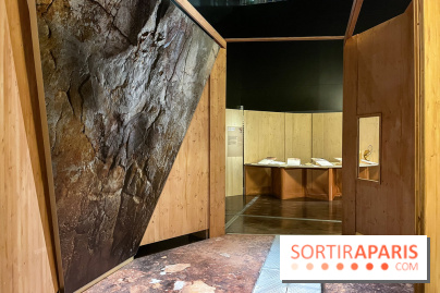 La Grotte Chauvet à la Cité des Sciences, nos photos  - image00002