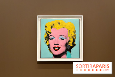 Exposition Pop Forever  - IMG 2675