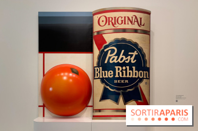 Exposition Pop Forever  - IMG 2700