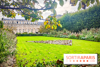 Art Basel Paris 2024 : une exposition de sculptures gratuite au Domaine du Palais-Royal - photos - IMG20241015160337