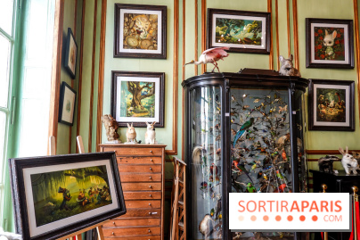 Benjamin Lacombe, nos photos de son exposition chez Deyrolle à Paris - DSC05548