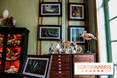 Benjamin Lacombe, nos photos de son exposition chez Deyrolle à Paris