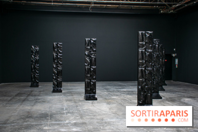 Exposition Barbara Chase-Riboud au Palais de Tokyo :  - DSC 1580