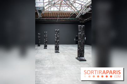 Exposition Barbara Chase-Riboud au Palais de Tokyo :  - DSC 1583