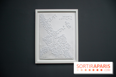 Exposition Barbara Chase-Riboud au Palais de Tokyo :  - DSC 1584