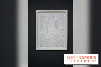 Exposition Barbara Chase-Riboud au Palais de Tokyo :  - DSC 1587