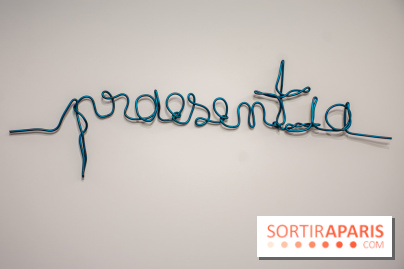 Exposition Praesentia de Myriam Mihindou au Palais de Tokyo - DSC 1619