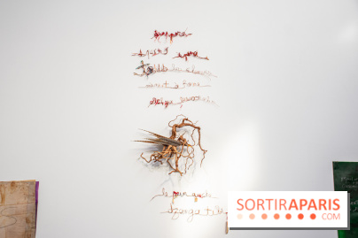 Exposition Praesentia de Myriam Mihindou au Palais de Tokyo - DSC 1621