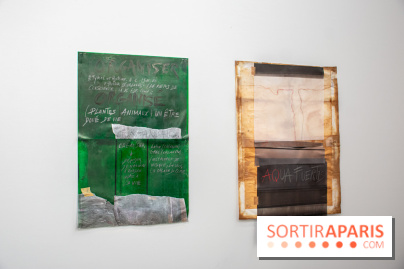 Exposition Praesentia de Myriam Mihindou au Palais de Tokyo - DSC 1622