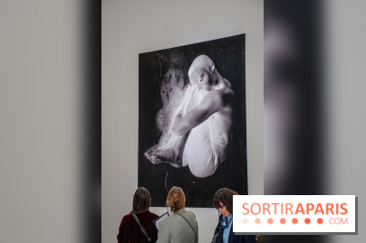 Exposition Praesentia de Myriam Mihindou au Palais de Tokyo - DSC 1625