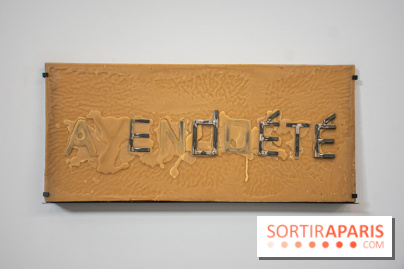 Exposition Praesentia de Myriam Mihindou au Palais de Tokyo - DSC 1626