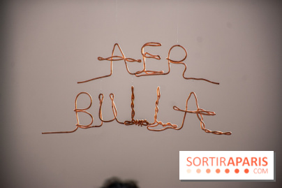 Exposition Praesentia de Myriam Mihindou au Palais de Tokyo - DSC 1627