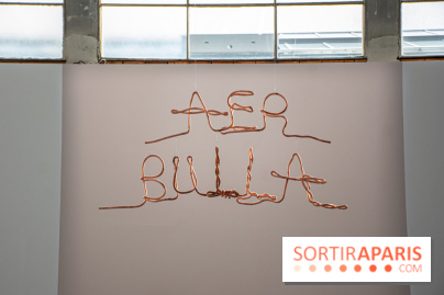 Exposition Praesentia de Myriam Mihindou au Palais de Tokyo - DSC 1631