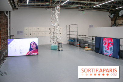 Les Frontières sont des animaux nocturnes : l'expo pour la saison lituanienne au Palais de Tokyo - DSC 1641