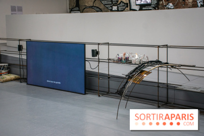 Les Frontières sont des animaux nocturnes : l'expo pour la saison lituanienne au Palais de Tokyo - DSC 1642