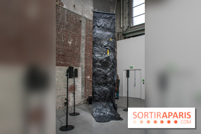 Les Frontières sont des animaux nocturnes : l'expo pour la saison lituanienne au Palais de Tokyo - DSC 1643