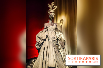 Stephen Jones, chapeaux d'artistes : l'exposition insolite et créative se dévoile au Palais Galliera - IMG20241017103705