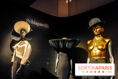 Stephen Jones, chapeaux d'artistes : l'exposition insolite et créative se dévoile au Palais Galliera - IMG20241017103259