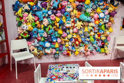 Fondation Cherqui - nos photos - image00013