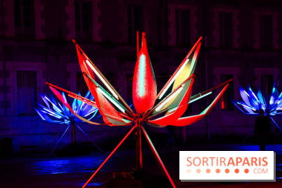 Vincennes, Château de Lumières - DSC 2522