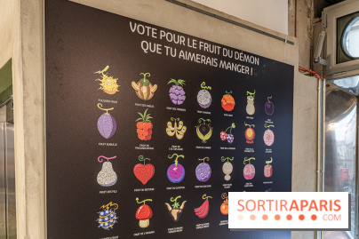 One Piece pop-up shop Paris - les photos