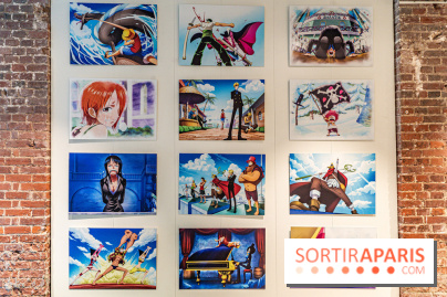 One Piece pop-up shop Paris - les photos