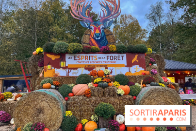 Les Esprits de la Forêt - IMG 5584