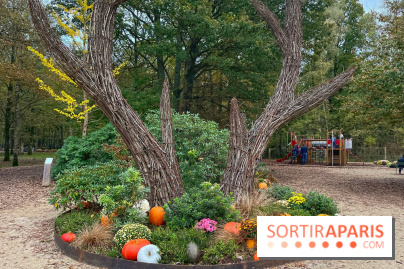 Les Esprits de la Forêt - IMG 5591