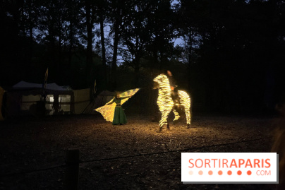 Les Esprits de la Forêt - IMG 5641