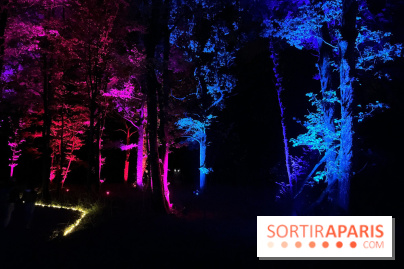 Les Esprits de la Forêt - IMG 5663