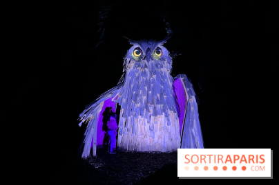 Les Esprits de la Forêt - IMG 5671