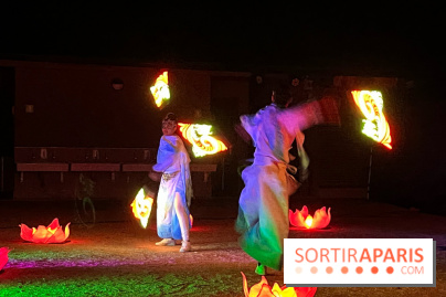 Les Esprits de la Forêt - IMG 5735