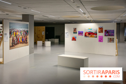 Trans*galactique : l'exposition célébrant les identités trans à la Gaité Lyrique - DSC 1795