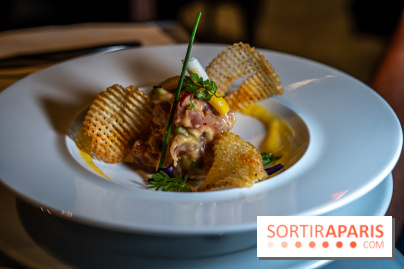Le Georges, le restaurant-terrasse en rooftop du Centre Pompidou - les photos -  A7C3440