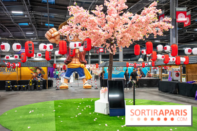 Paris Games Week 2024 - DSC 1905