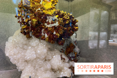 Musée de Minéralogie - IMG 5814