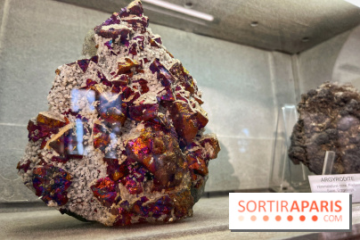 Musée de Minéralogie - IMG 5815